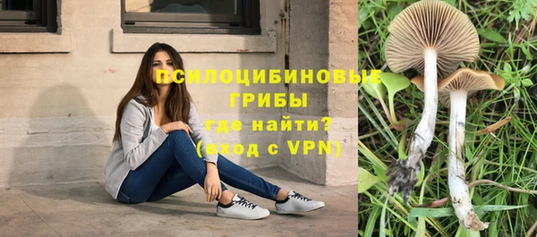 Альфа ПВП Беломорск