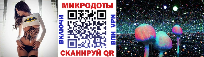 OMG онион Горно-Алтайск Галлюциногенные грибы MAGIC MUSHROOMS